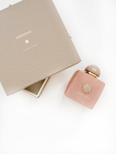 آمواج گایدنس